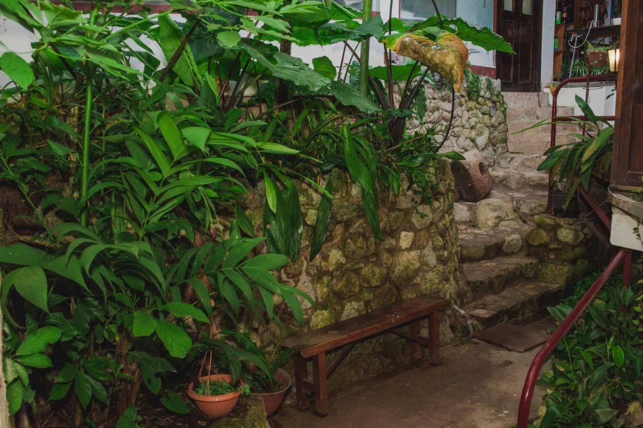 ᐉ ⋆⋆⋆RUPA RUPA HIGH JUNGLE ECO B&B (ペルー 本当の写真とお買い得