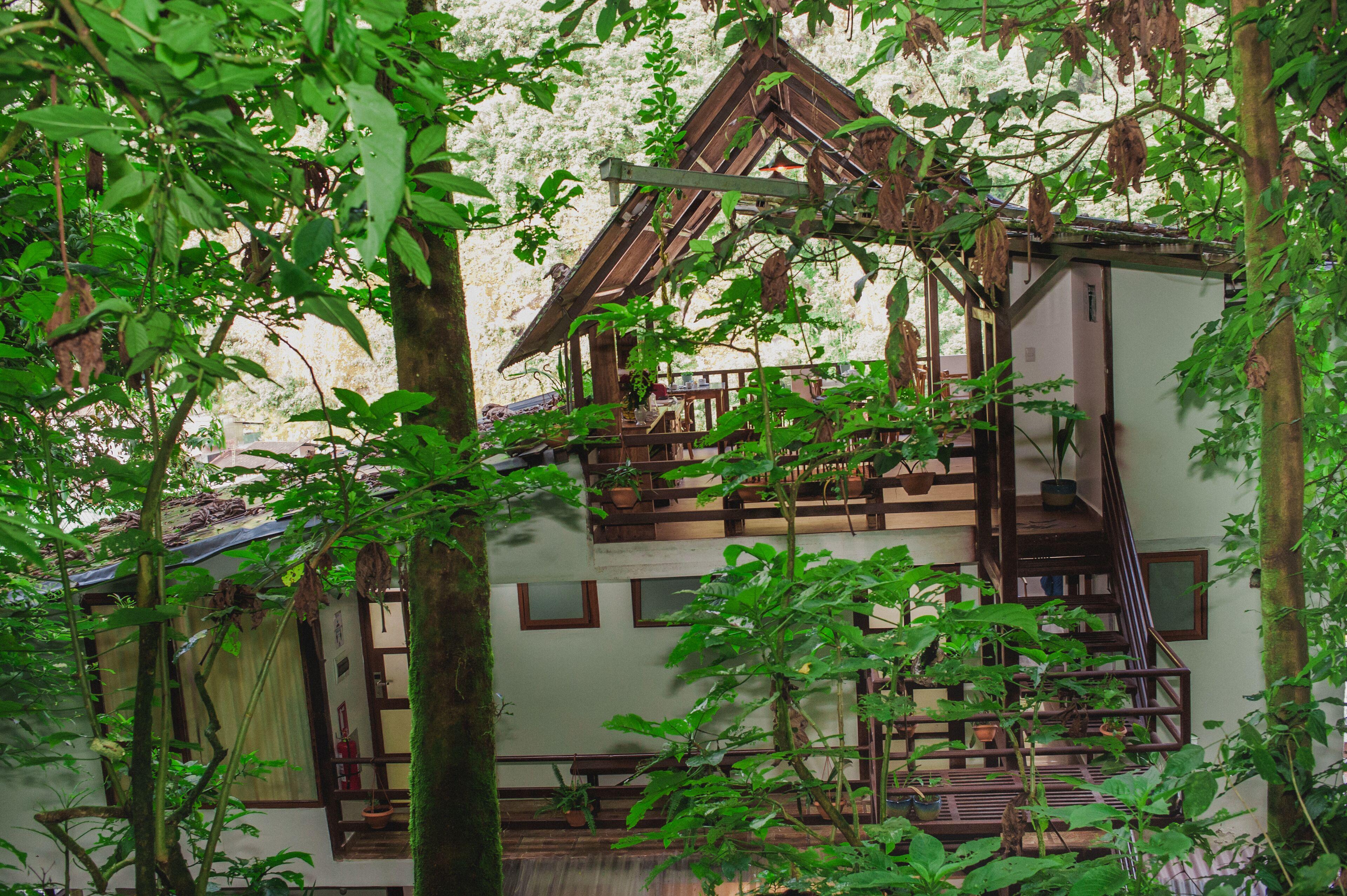 ᐉ RUPA RUPA HIGH JUNGLE ECO B&B ⋆⋆⋆ ( MACHU PICCHU, PERU ) REAL PHOTOS ...