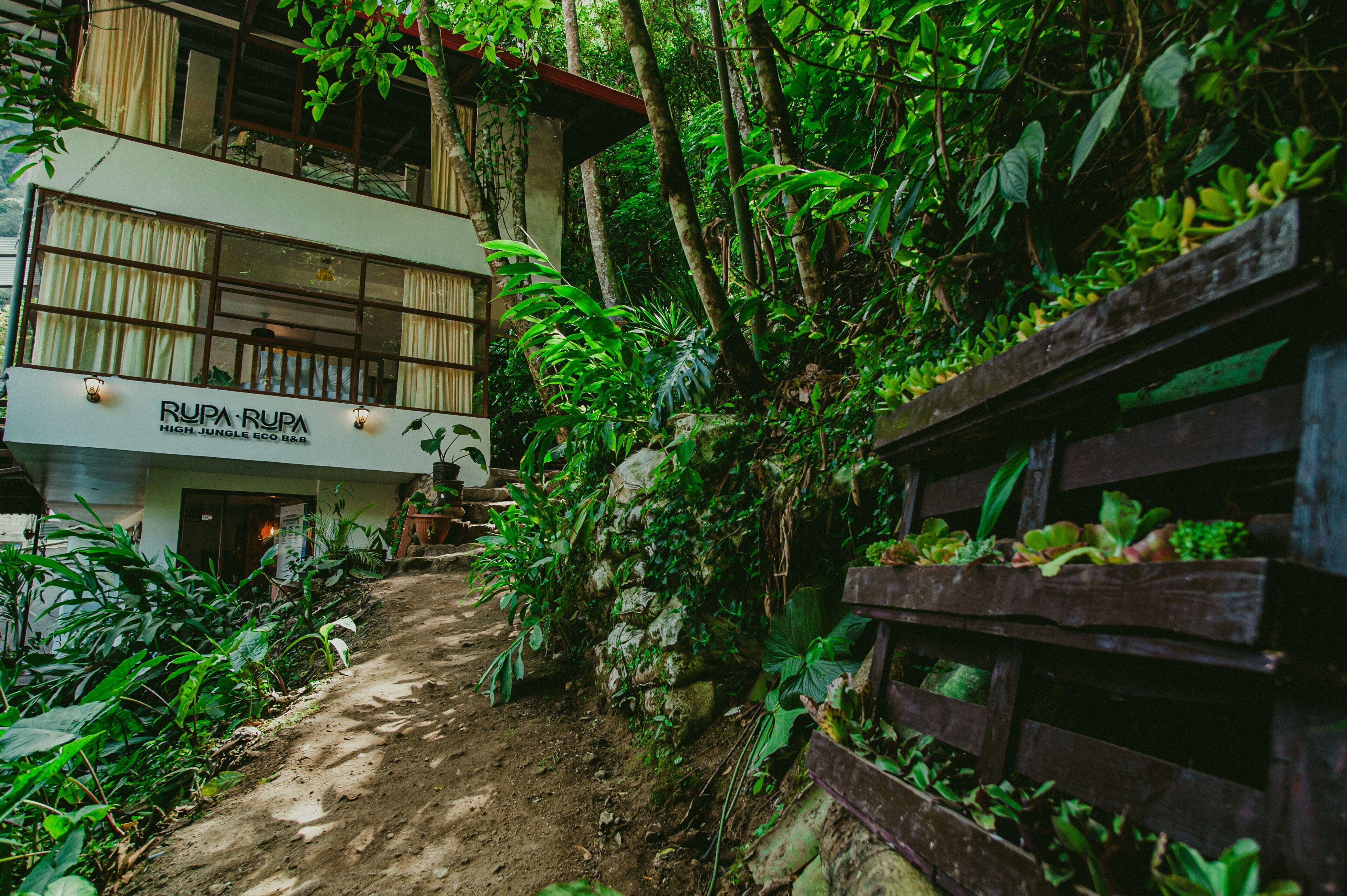 ᐉ ⋆⋆⋆RUPA RUPA HIGH JUNGLE ECO B&B (ペルー 本当の写真とお買い得